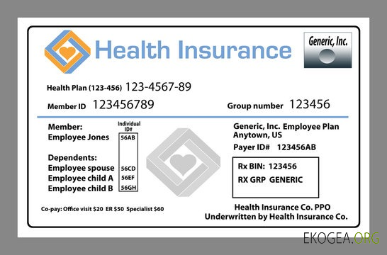Carte d'assurance maladie USA Health Insurance Co.